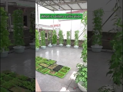 গার্ডেন ইনডোর ফার্মিং পাপড়ি হাইড্রোপনিক গ্রো টাওয়ার