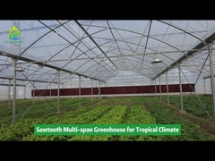 টেকসই অ্যালুমিনিয়াম খাদ কঙ্কাল ক্রান্তীয় পলি টানেল ফিল্ম সাউটুথ গ্রিনহাউস
