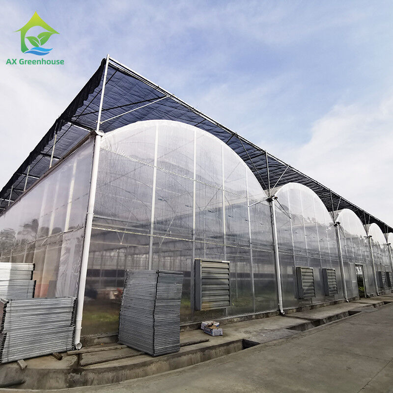ইউভি প্রতিরোধী 30x10 মি প্লাস্টিকের ফিল্ম গ্রিনহাউস টমেটো এবং সবজি জন্য ফিল্ম কভার সঙ্গে