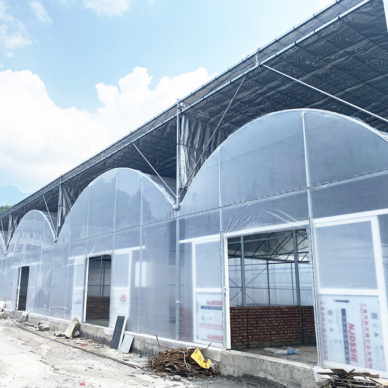 দীর্ঘস্থায়ী গরম ডুব গ্যালভানাইজড স্টিল মাল্টি-স্প্যান প্লাস্টিকের ফিল্ম ফলের জন্য কৃষি গ্রিনহাউস