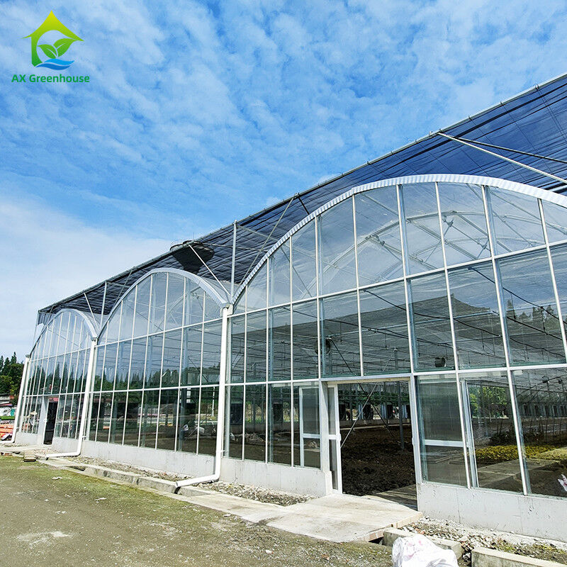 ত্রিভুজ ছাদ ছাঁচনির্মাণ বাণিজ্যিক মাল্টি-স্প্যান বড় টানেল গ্লাস হাউস ফুল ক্রমবর্ধমান গথিক গ্রিনহাউস