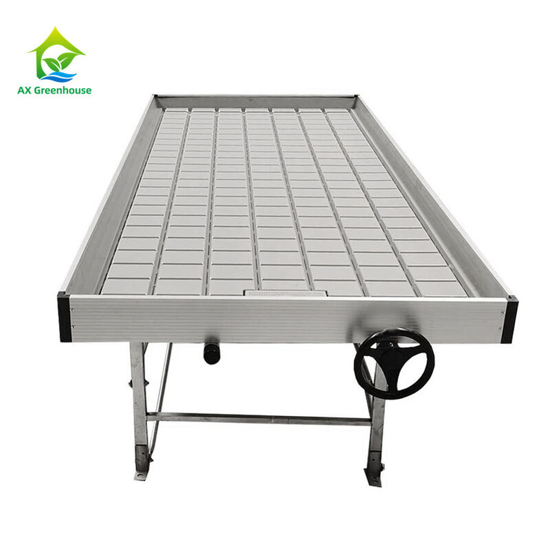 ইব এবং ফ্লো 4FT * 8FT উল্লম্ব হাইড্রপোনিক মুভযোগ্য রোলিং বেঞ্চ স্টল সহ গ্রো টেবিল